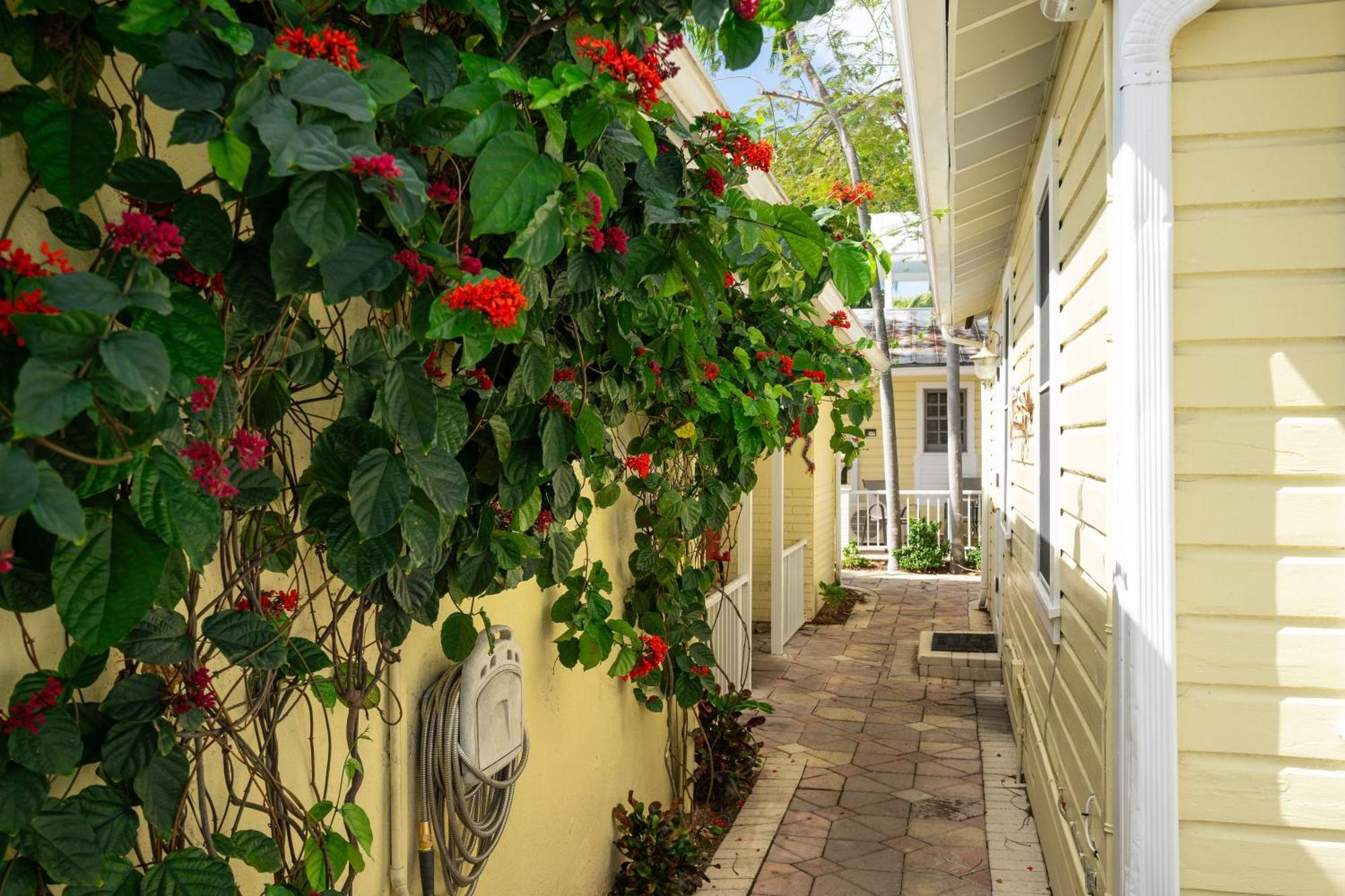 The Cozy Little Cottage Cayo Hueso Exterior foto